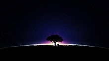 2011x88.jpg