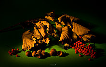__autumn_feelings_iii_____wide_by_v_ace.jpg