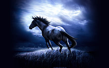 03fee92ff999339e7b65ee41b0a853cb.jpg