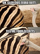 oh-glorious-tags-tell-me-your-secrets_ab519b_3566728.jpg