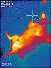 monky_blackview_8900pro_flir_016.jpg