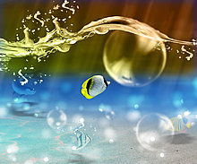 water-impressions_111.jpg