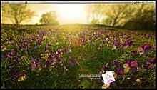 sshot-1.jpg