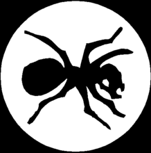 logo.gif