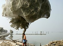 04.jpg