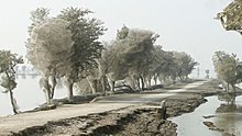 1302032534_pachistan-paianjeni6.jpg