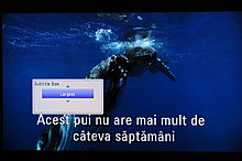 lgdp1_subs_size_largest.jpg