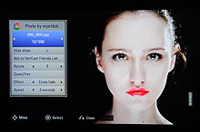 lgdp1_net_picasa_2.jpg