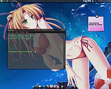 transperancy.jpg