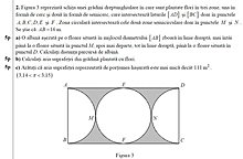 60498333.jpg