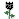 blackrose.gif