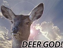 tumblr_lbv04bob7s1qb9qwwo1_500.jpg