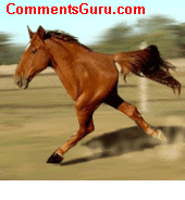 running_horse.gif