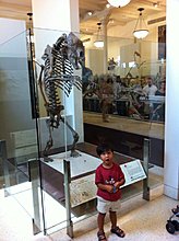 8b5a7.jpg