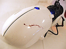 portal2.jpg