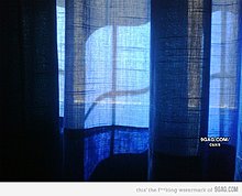 3134512_700b_v1.jpg