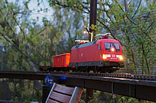 dsc05597.jpg