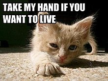 takemyhandifyouwanttolive.jpg