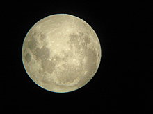 img_1426.jpg