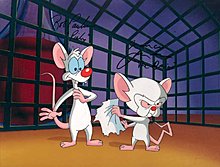 04-rc1221-20pinky_brain.jpg