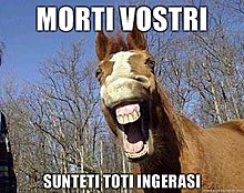 morti-vostri-sunteti-toti-ingerasi.jpg