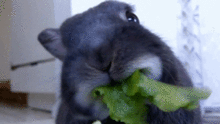 ea.gif