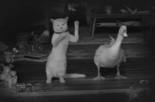 dan.gif