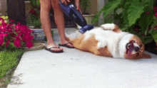 do.gif