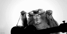 monk.gif
