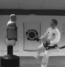 sidekick.gif