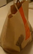 cat.gif