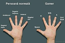 19299_550120848332691_344972029_n.jpg