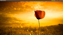 screenshot-2013-03-30-10-50-33.png