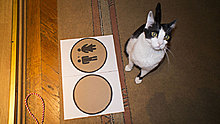 dsc02083.jpg