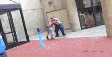 sase-politia.gif