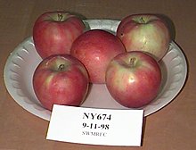 ny674.jpg