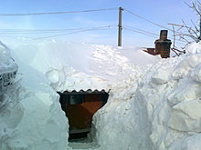 60550124.jpg
