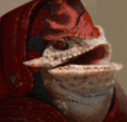 140311890045527-3-.gif