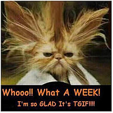 tgif.jpg