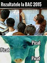 11707514_1153550788004021_2434908508563736521_n.jpg