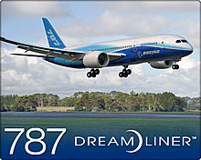 787.jpg