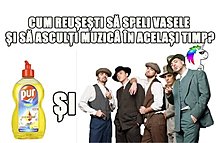 12541065_1278557205503088_7912685340258726659_n.jpg