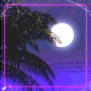 8.gif