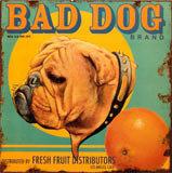 bad-dog-tin-sign-i11900595.jpg