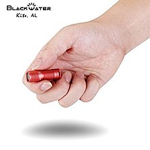 black_water_kite.al_003.jpg