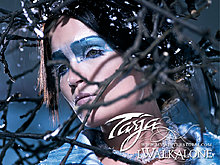 tarja-tarja-442991_1024_768.jpg