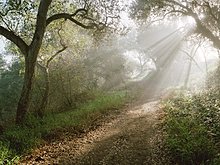 118-iplay.jpg