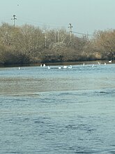 img_6809.jpeg