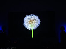 img_4419.jpeg