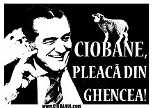 ciobanul4.jpg